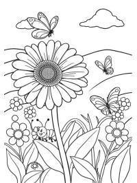 Gerbera