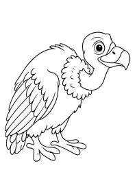 Vautour