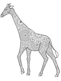 giraffe pour adulte