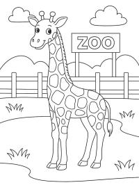 Girafe au zoo