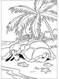 Pluto et tortue