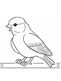 Oiseau bouvreuil
