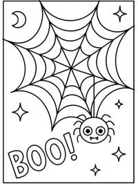 Araignée marrante dans sa toile