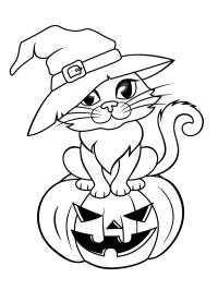 Chat d'Halloween avec un chapeau de sorcière