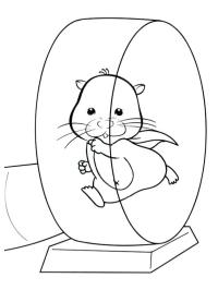 hamster dans la roue