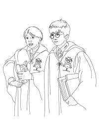 Harry Potter et Ron Weasley