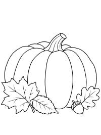 Citrouille d'automne