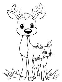 Cerf avec faon