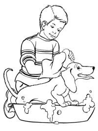 laver le chien