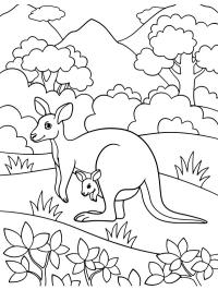 Kangourou avec bébé dans la poche