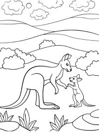 Kangourou avec bébé kangourou