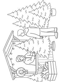 Vente de sapins de Noël