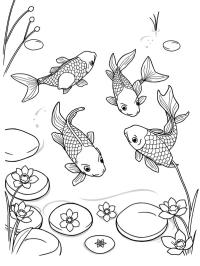 Carpes koï dans l'eau