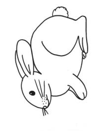 Lapin