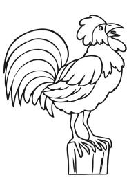 coq chantant