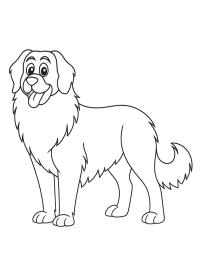 Leonberg