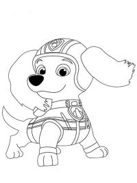 Teckel Liberty PAW Patrol