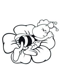 Willie l'abeille dort