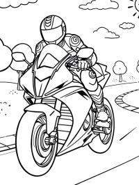 Motard
