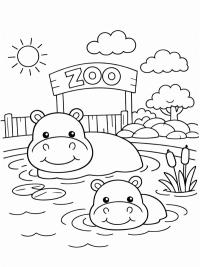 Hippopotames dans l'eau