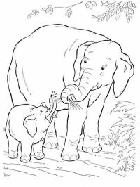 Éléphant et bébé éléphant