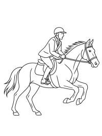 Cheval au galop avec cavalier
