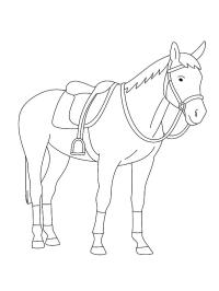 Cheval Ozosnel