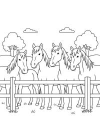 Troupeau de chevaux derrière une clôture