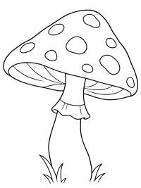 Champignon tachet&eacute;