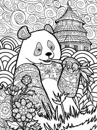 Panda pour adultes