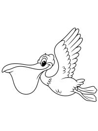 Pélican