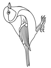 Mésange bleue