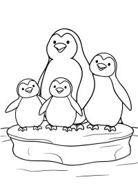 Famille Pingouin