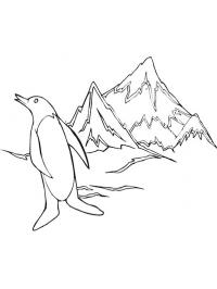 Un pingouin au pôle Sud