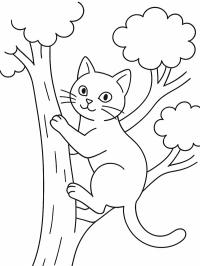 Chat grimpe dans un arbre