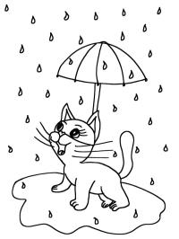 Chaton sous la pluie