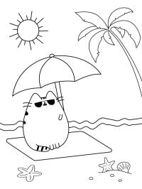 Pusheen sur la plage