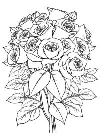 Bouquet de roses pour adultes
