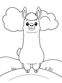 Alpaga adorable