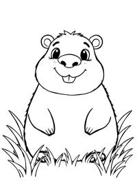 Adorable capybara