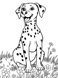 Adorable dalmatien