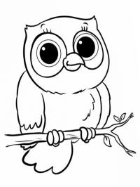 Hibou mignon