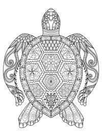 tatouage mandala tortue