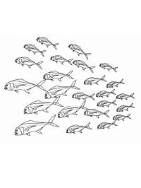 Groupe de poissons