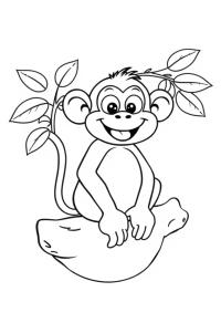 Singe simple