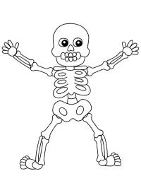 Squelette Halloween (humain)