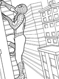 Spiderman grimpe bâtiment