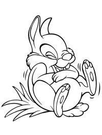 Panpan rit
