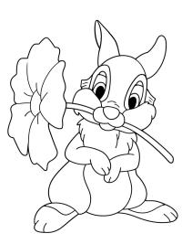 Panpan avec une fleur