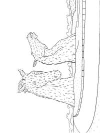 les kelpies &eacute;cosse